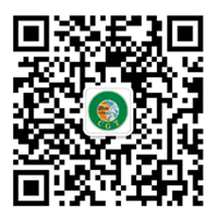 微信號(hào)